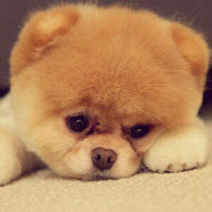 mallorywaller avatar