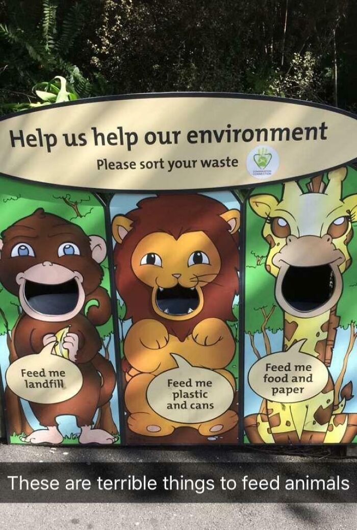 Teaching Kids Terrible Things At Wellington Zoo