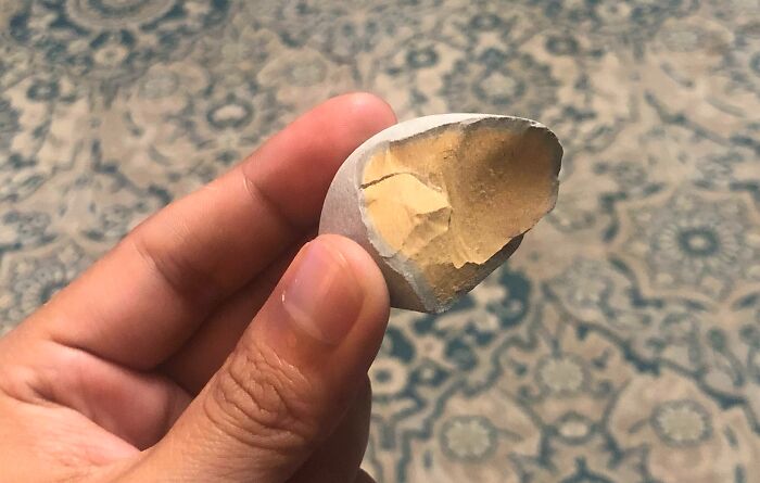 Esta roca que encontré en la playa parece un huevo duro