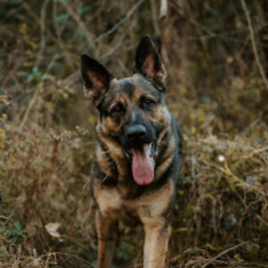 emmamcfrederick avatar