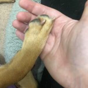 morrisonkim01 avatar