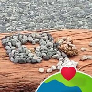 yellowwoodstraveler avatar