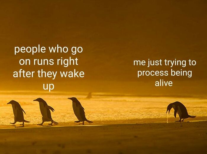 Funny meme with penguins comparing morning runners to those just waking up.