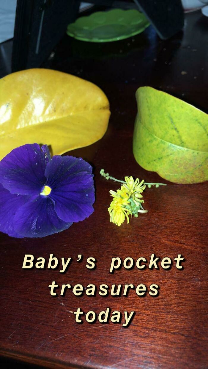 My 3yo Treasures From Our Morning Walk