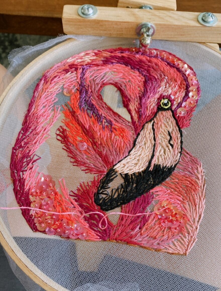 Flamingo Taking Flight