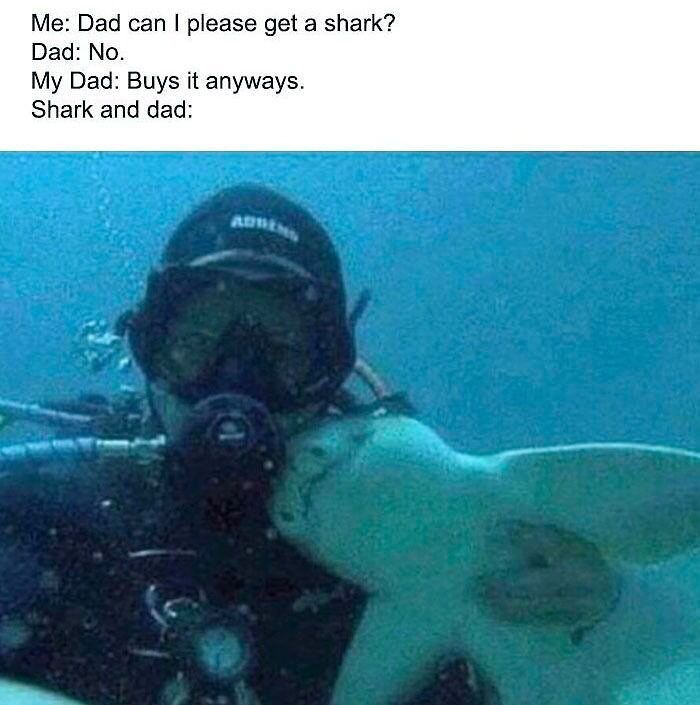 Diver posing with a friendly shark, accompanied by funny text, adding humor to birthday memes.