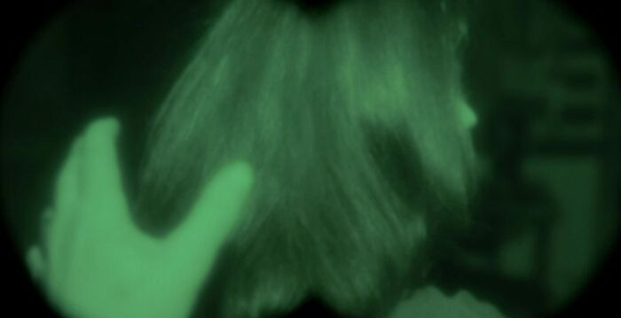 Scene from " Silence Of The Lambs" movie