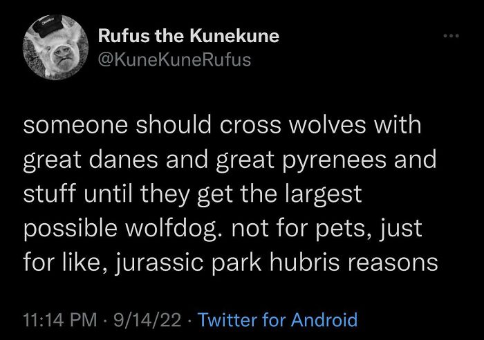 Just Get ‘Em Real Big