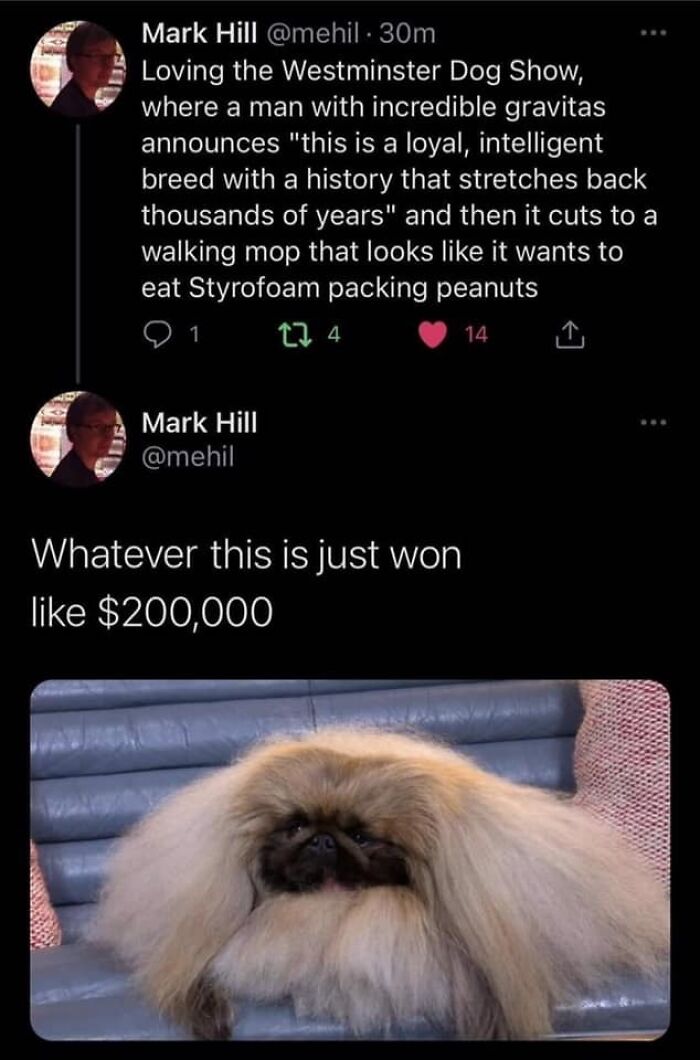 A Walking Mop That Looks Like It Wants To Eat Styrofoam Packing Peanuts