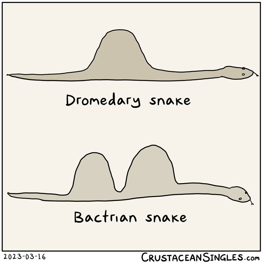 New Weirdest Comics With Hilariously Unexpected Endings By “Crustacean Singles”