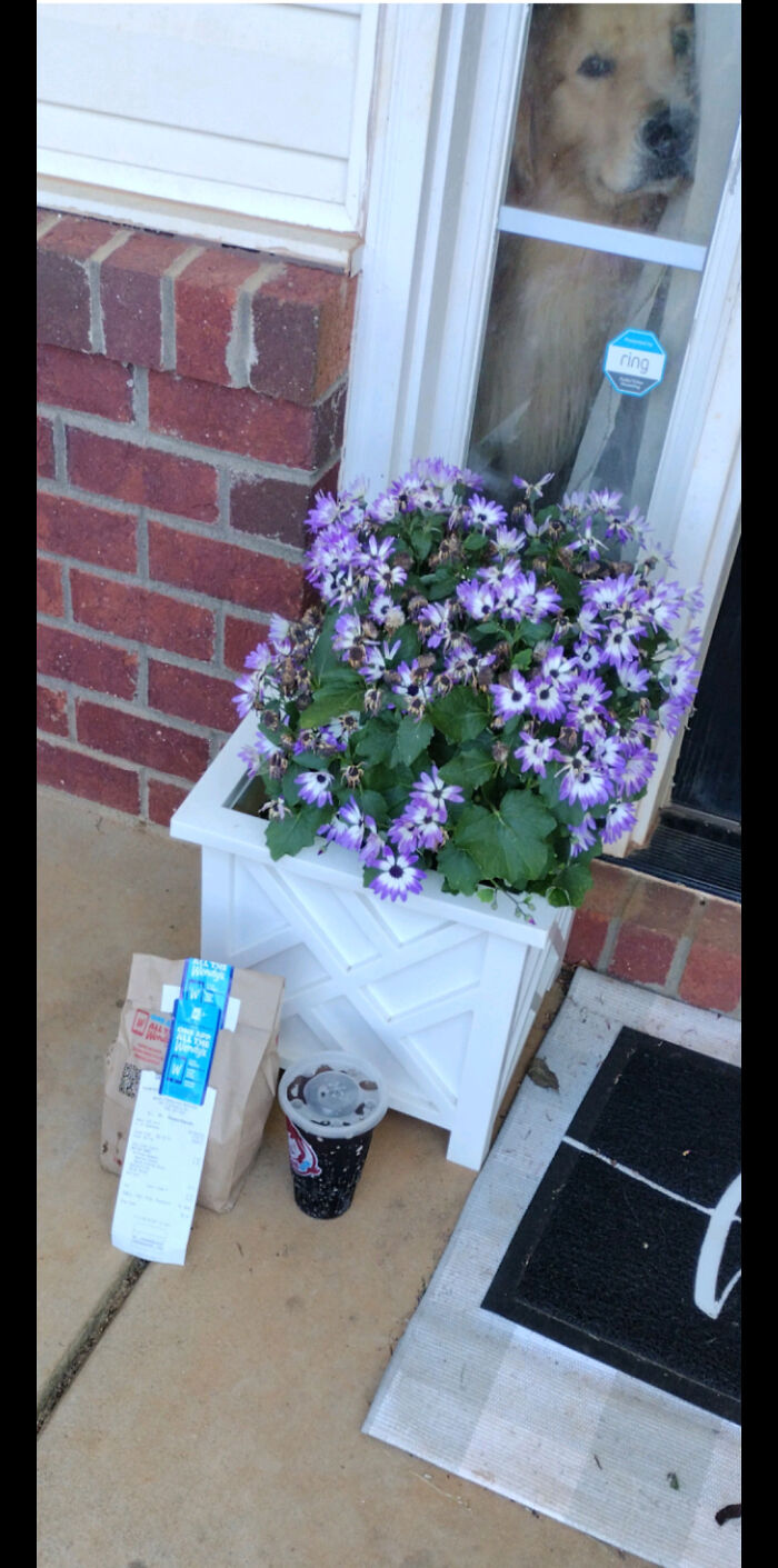 Took This Picture While Dropping Off 