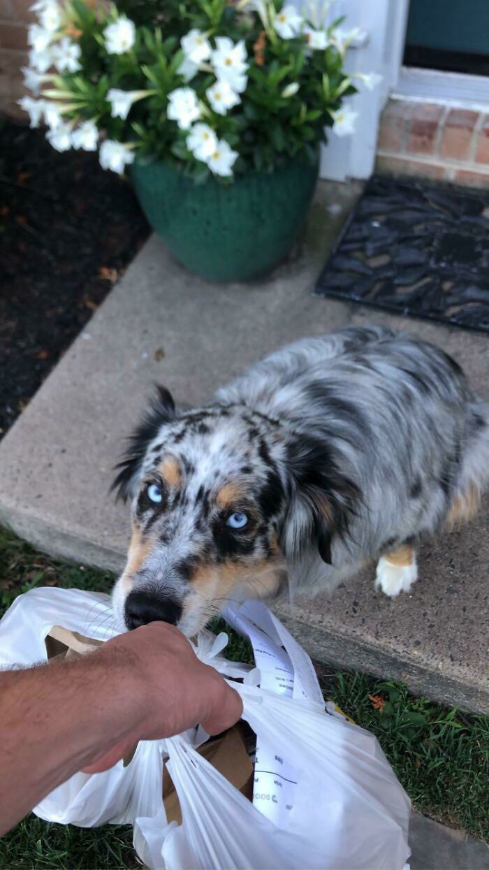 Hate When “Leave At Door” Customers Rush Out To Meet You On The Doorstep