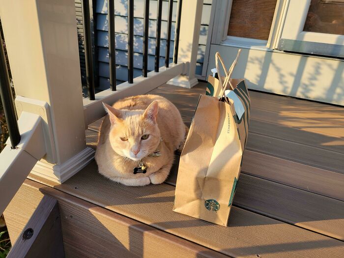 Met A Friend Along The Way