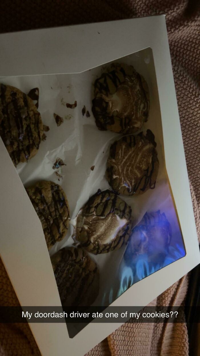 My Driver Ate One Of My Cookies