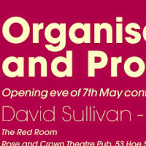 davidsullivan_2 avatar