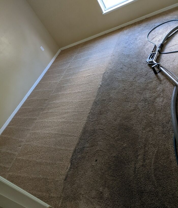I Do Carpet Cleaning For A Living And I Absolutely Love My Job
