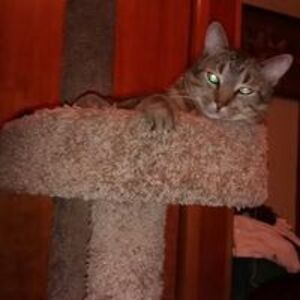 brettbrown1969 avatar