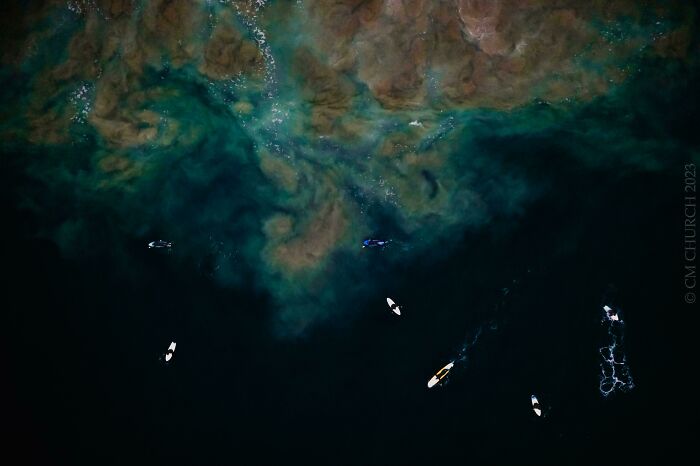 Surfers Over Swirling Silt And Inky Depths. Morro Bay, Ca (USA)