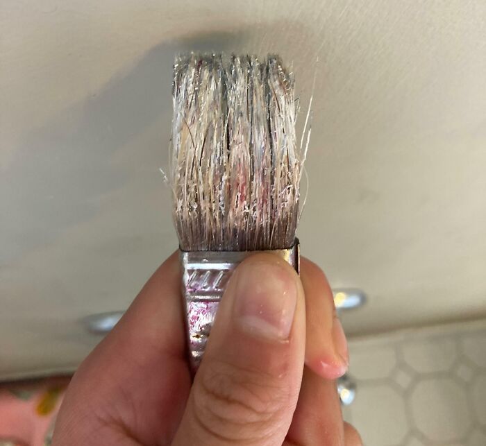 Mi hermano se enfadó porque le di mis materiales de arte baratos. Afirmó que no confiaba en él lo suficiente. Aquí está la prueba de por qué no puedo confiar en él