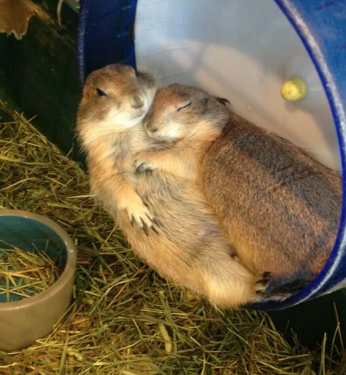 Love Comes In All Different Shapes And Sizes