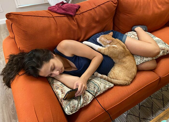 My Wife Is Three Weeks Away From Her Due Date And Our Cats Love Snuggling Her Belly