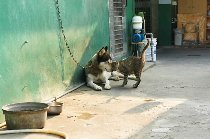 True Love Has No Boundaries