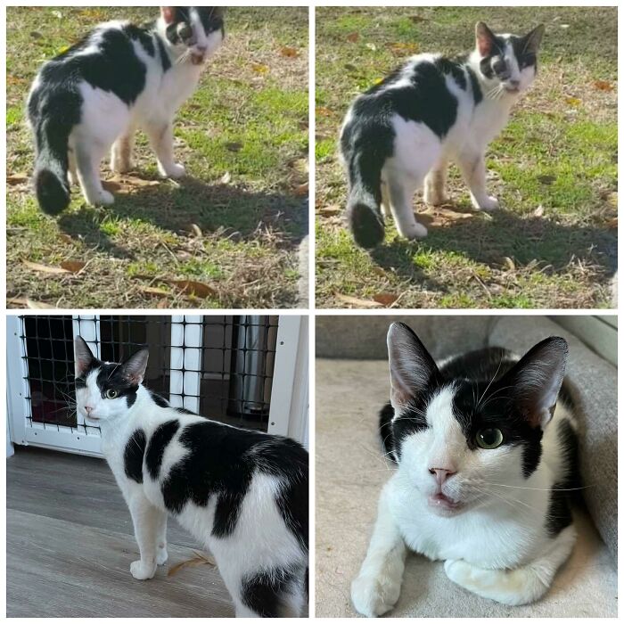 ¡Pasé una semana conduciendo una hora en cada dirección para atrapar a este chico!