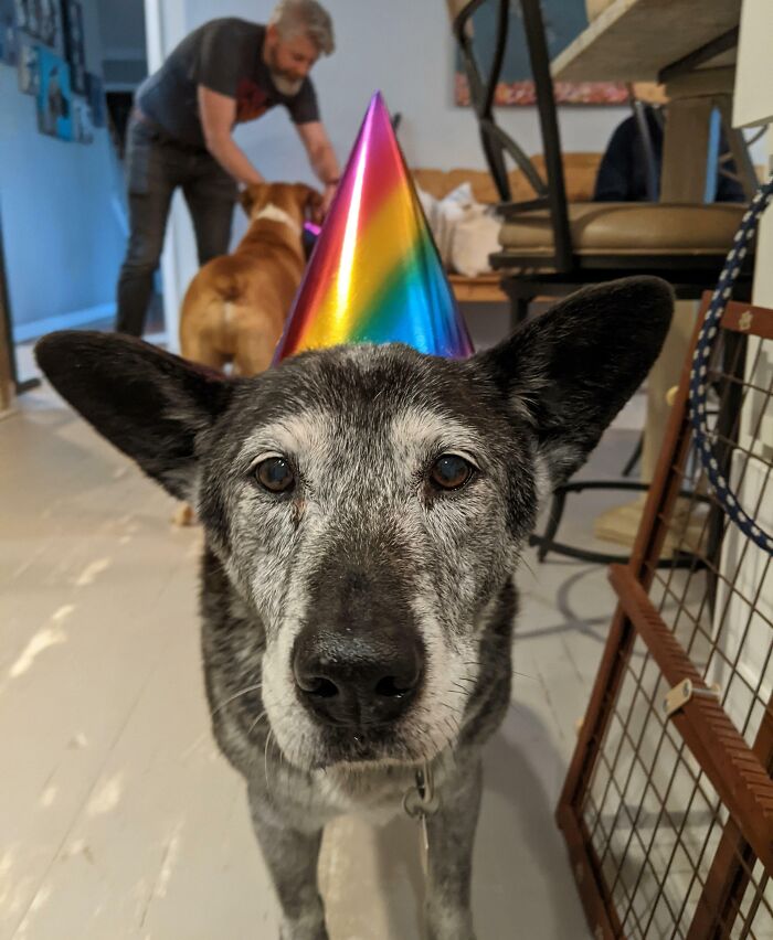 Proton Celebrated Her Sweet Sixteen Today