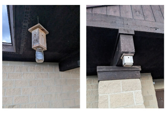 Several Of These Went Up In A County Park Near Me; Small Wooden Boxes, Some Of Them Have Jars Underneath