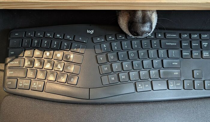 Couldn't Figure Out Why My Music Kept Pausing