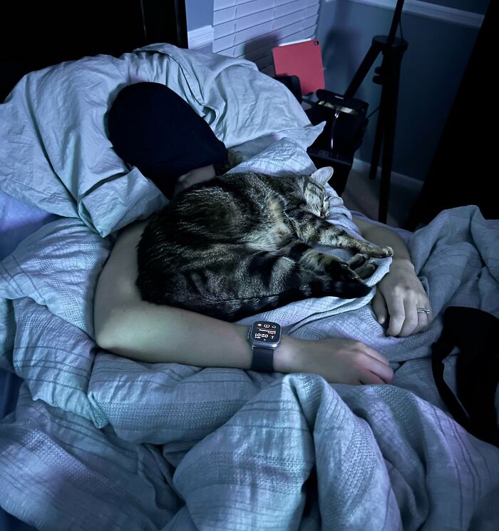 My Wife Gave Birth 1 Week Ago And Is Finally Able To Sleep On Her Back. Our Kitty Couldn’t Be More Thrilled To Have Her Happy Place Back