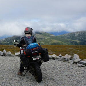 michaelmclain avatar