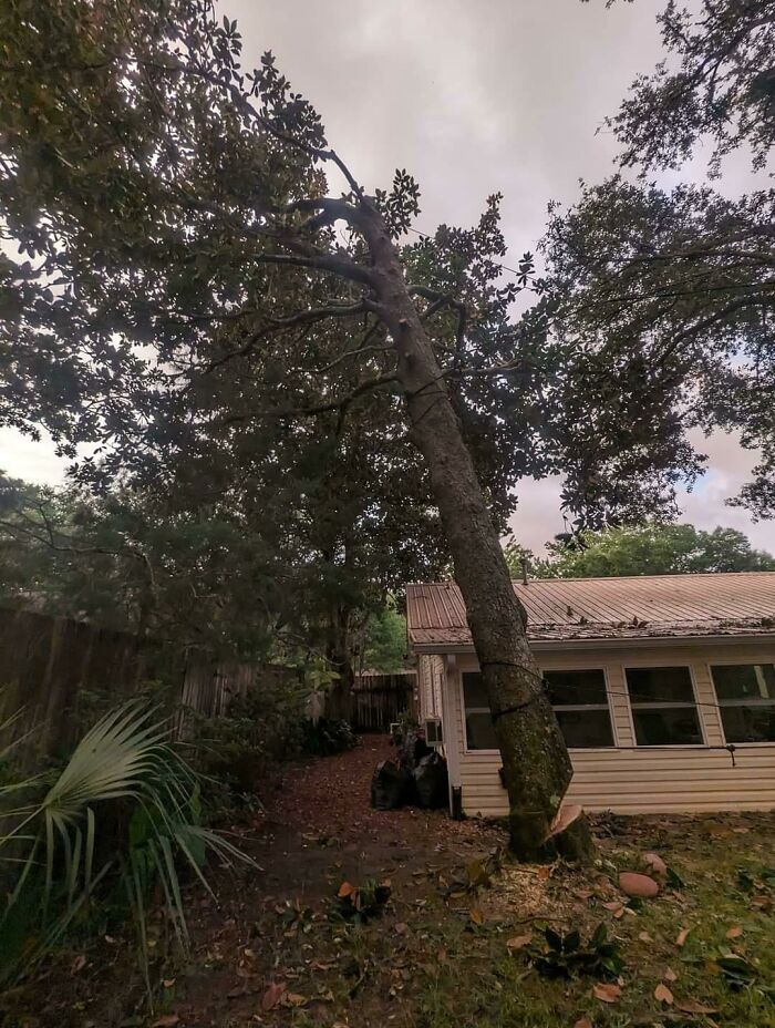 "Contractor" Gave Up Halfway Through The Job