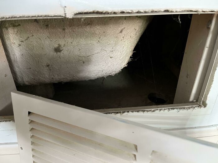 Cave “Wall Vent”, Home To The Illustrious Wolf Spider…