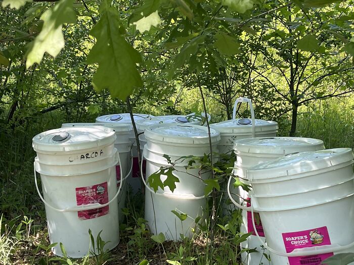 I Don’t Know If This Counts, But I Don’t Know Where Else To Turn…these Sealed Buckets Of Rotten Meat In My Yard