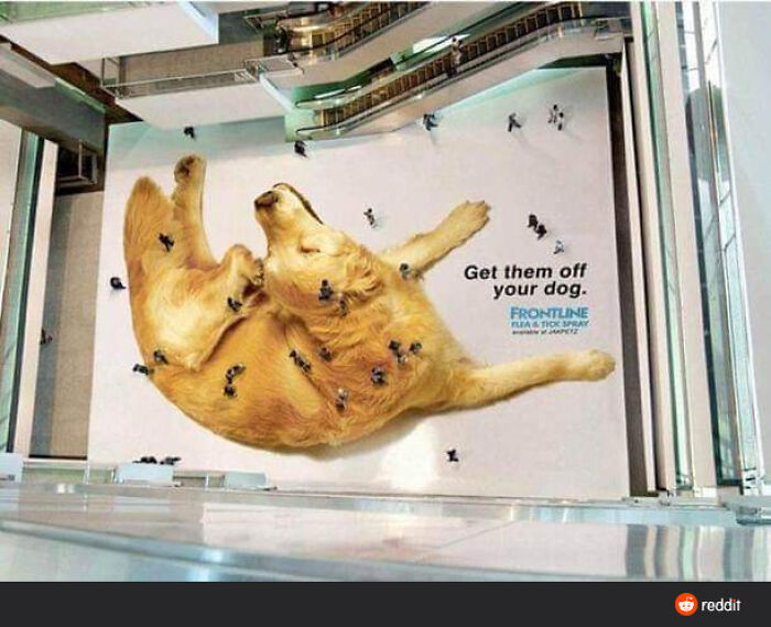 Anti-Tick Mall Floor