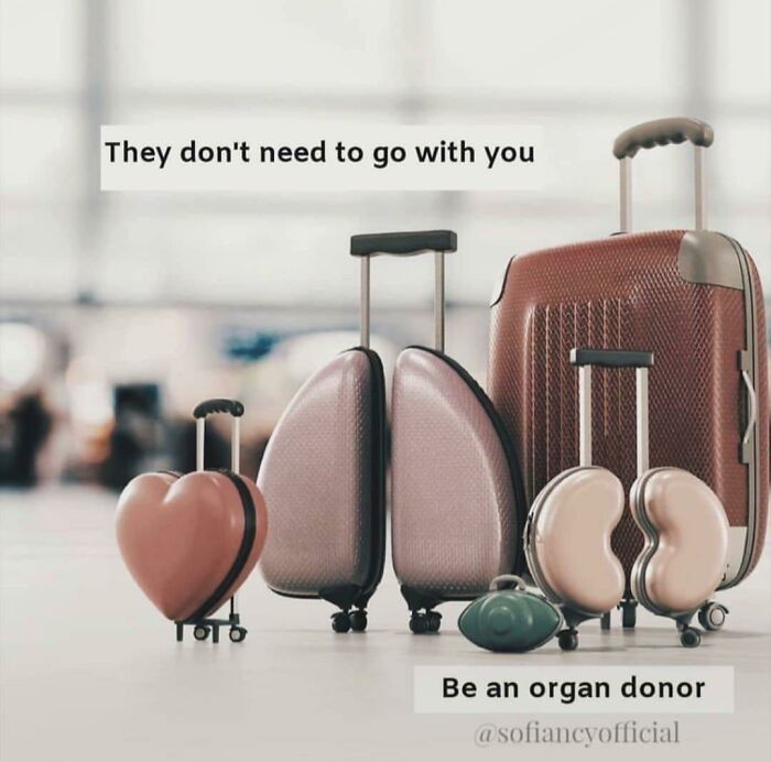 Organ Donor