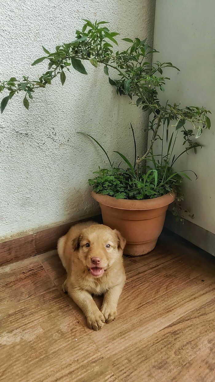 What Should I Name Her ??? Any Suggestions!!!!