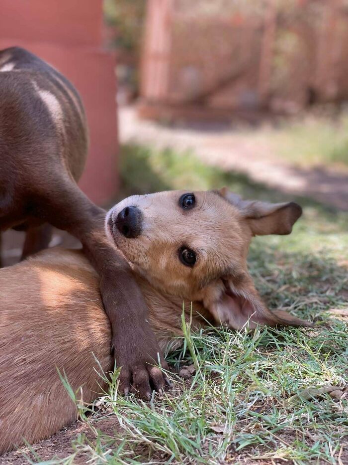 Our Newest Residents Here At Sara Morocco And We Are In Love!