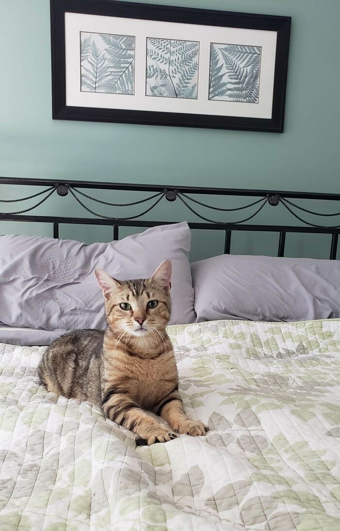 We Adopted This Sweet Boy!