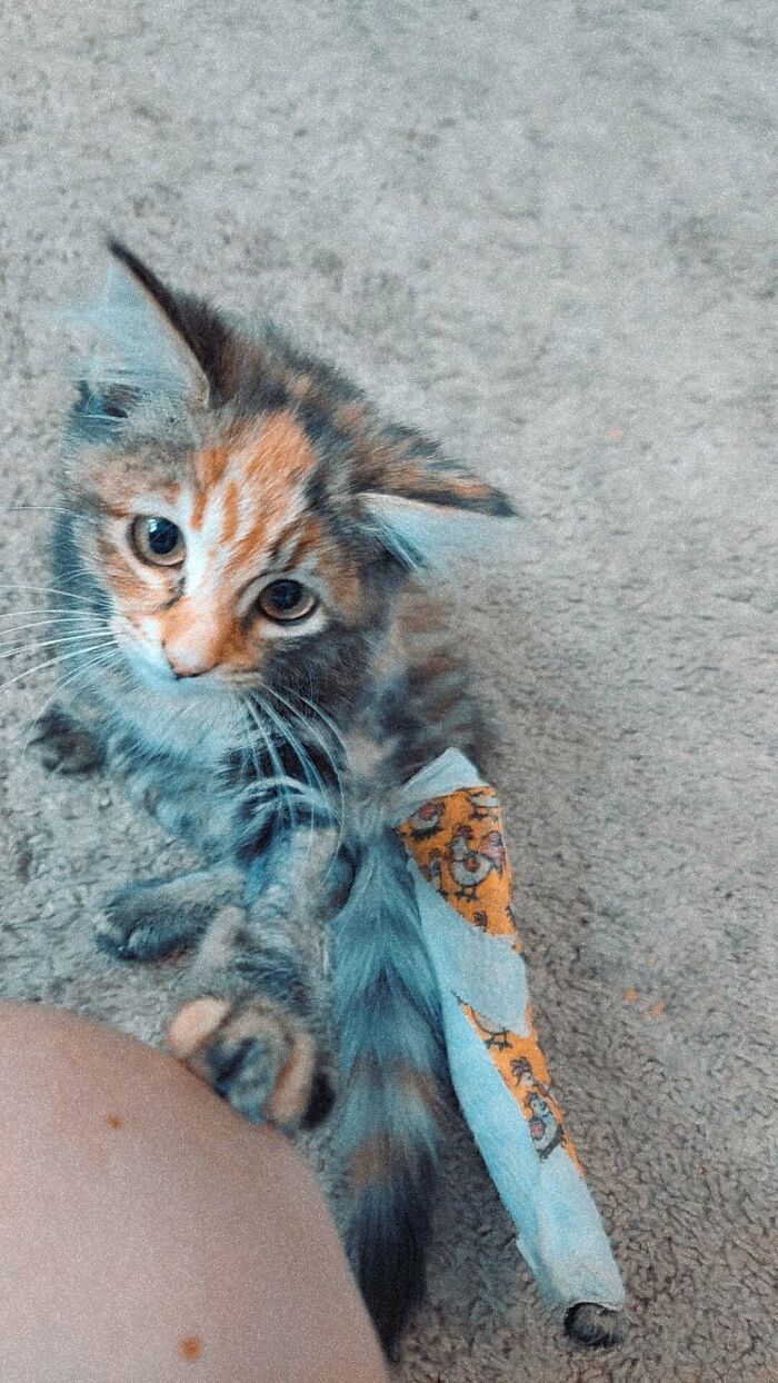 Mirra Is Home With Us! Thank You For All The Well Wishes!