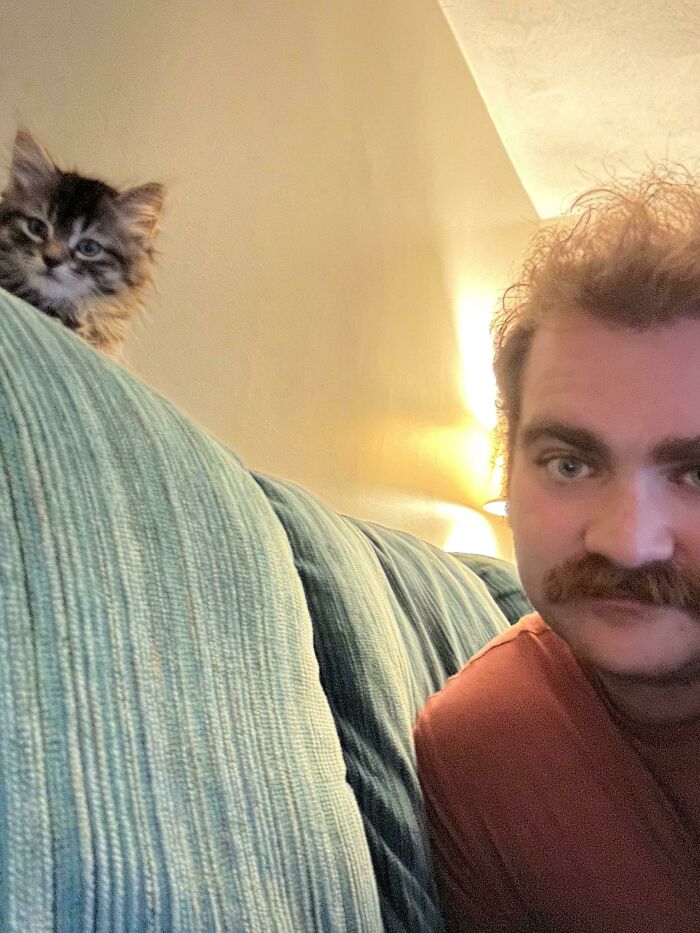 Meet Olive! My Second Kitty. Got Her From A Rescue Yesterday. Shes So Small