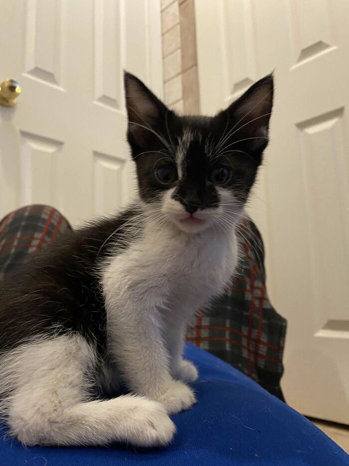 We Adopted A Baby Today!