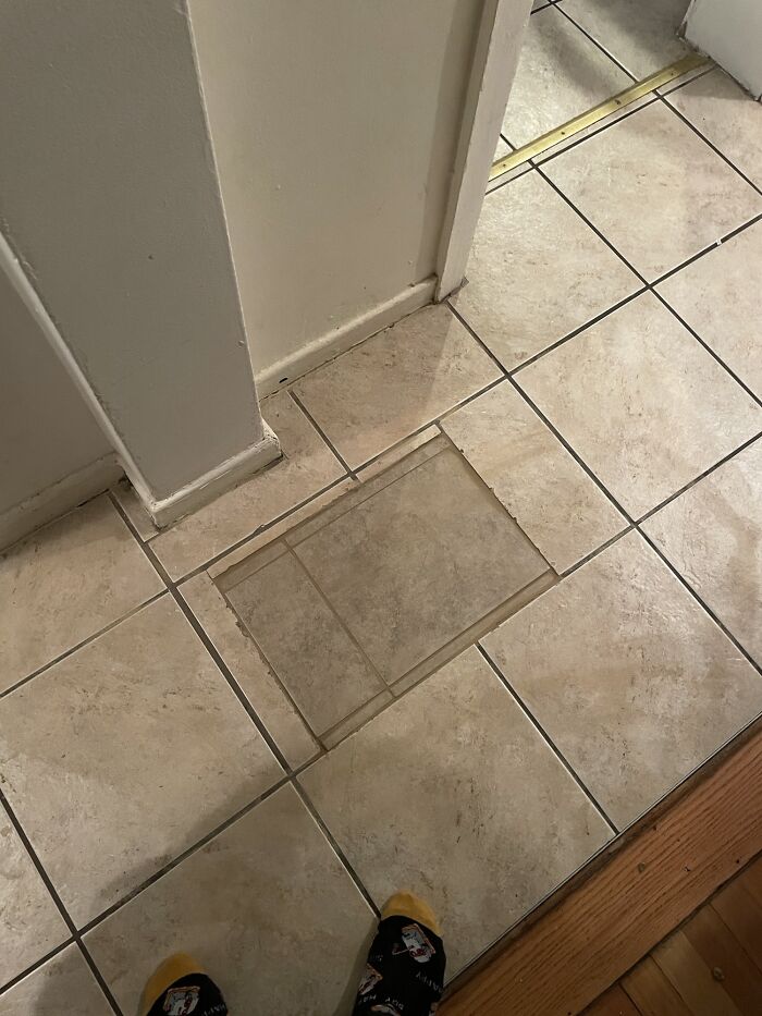 "I’m Waiting For My Guy To Come, I Want A Nice Job" My Landlord