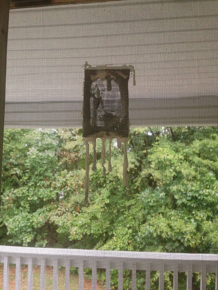 I Noted A Tear In My Porch Screen When Moving Into My New Apartment. This Is How They Fixed It