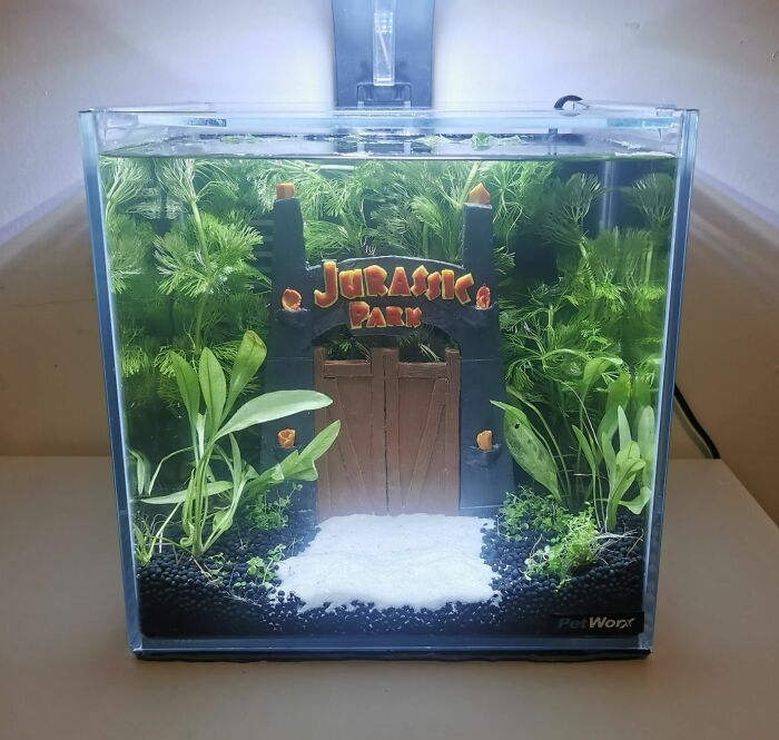 Jurassic park at the bottom of aquarium 