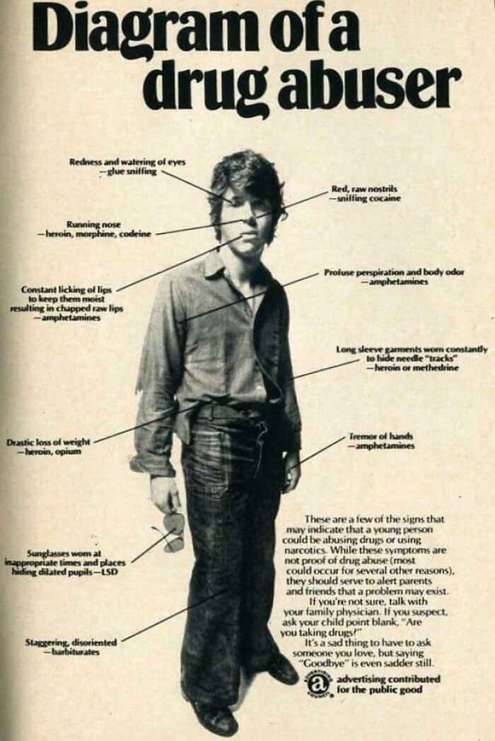 Diagram Of A Drug Abuser (1972)
