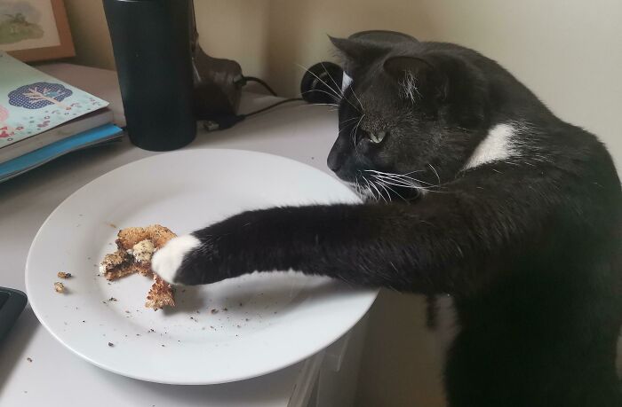 Working From Home Means Your Colleagues Are More Brazen About Stealing Your Lunch