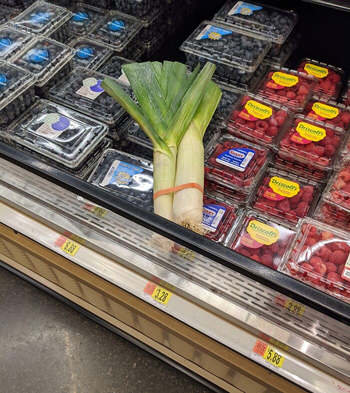 I Told My Coworker That Our Blueberry Containment Area Had A Leak... He Was Not Amused