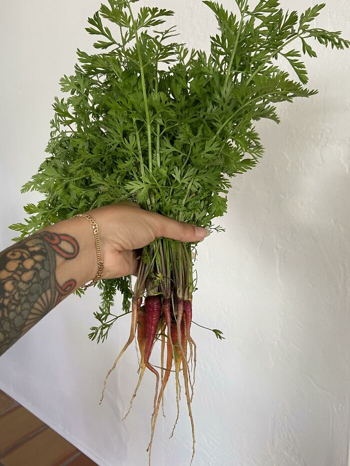 Deemed Me As A Shower Not A Grower